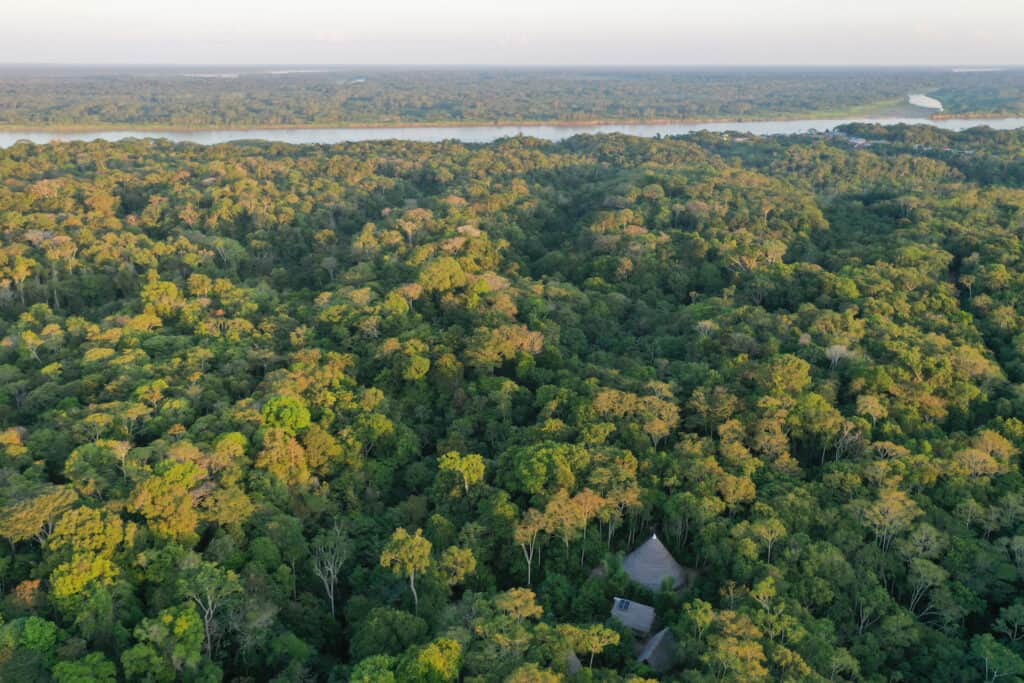 Psychonauta Foundation 7