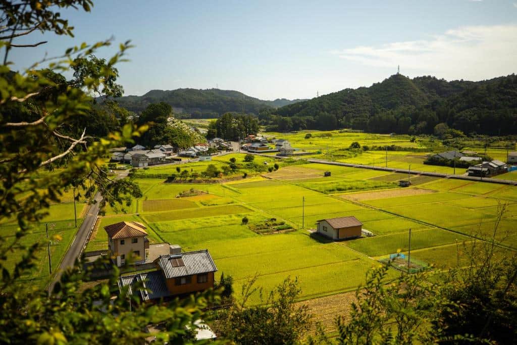 5-Day Zen & Cultural Temple Retreat in Japan 5