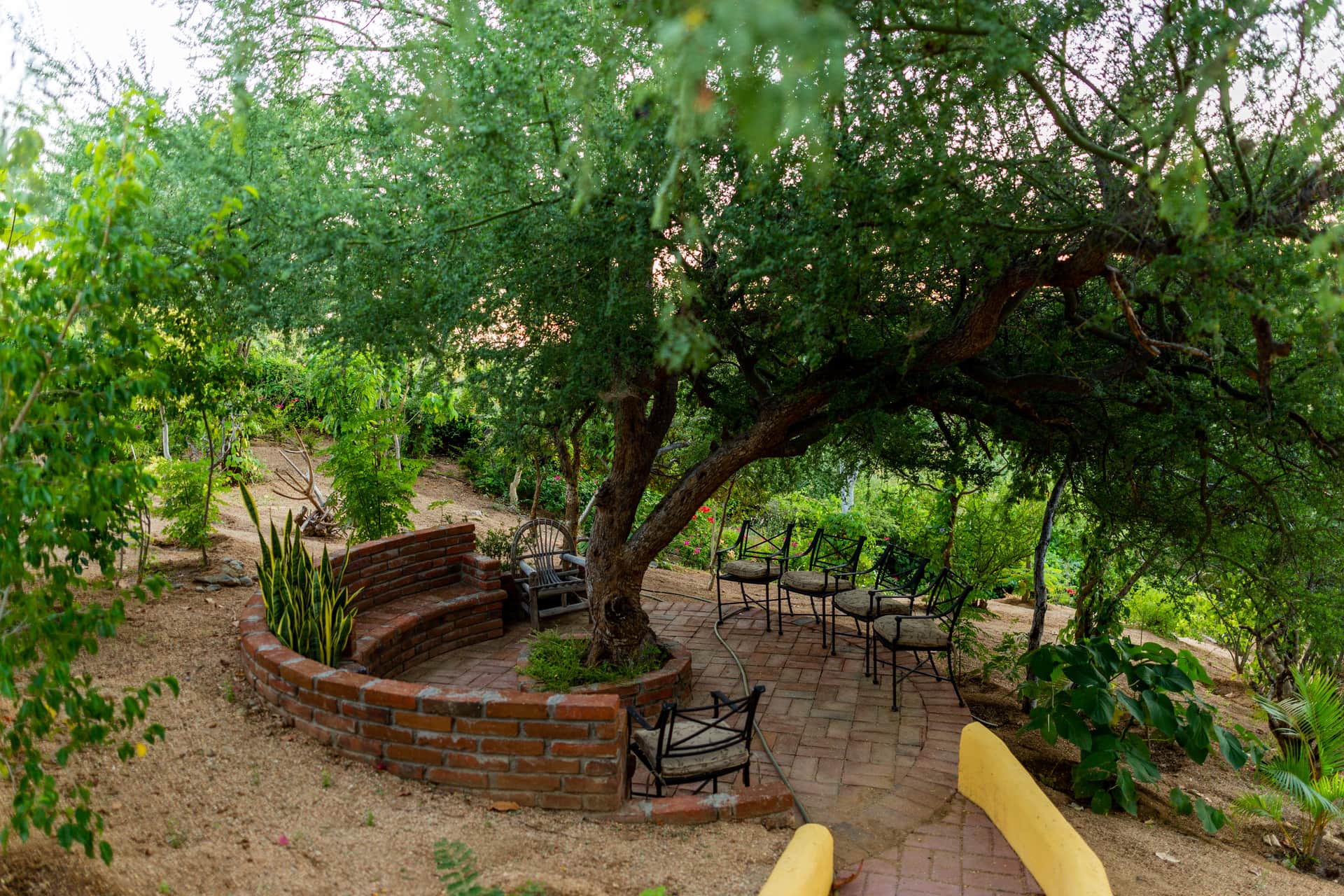 Rukhsana's Wellness & Heavenly Retreat 2