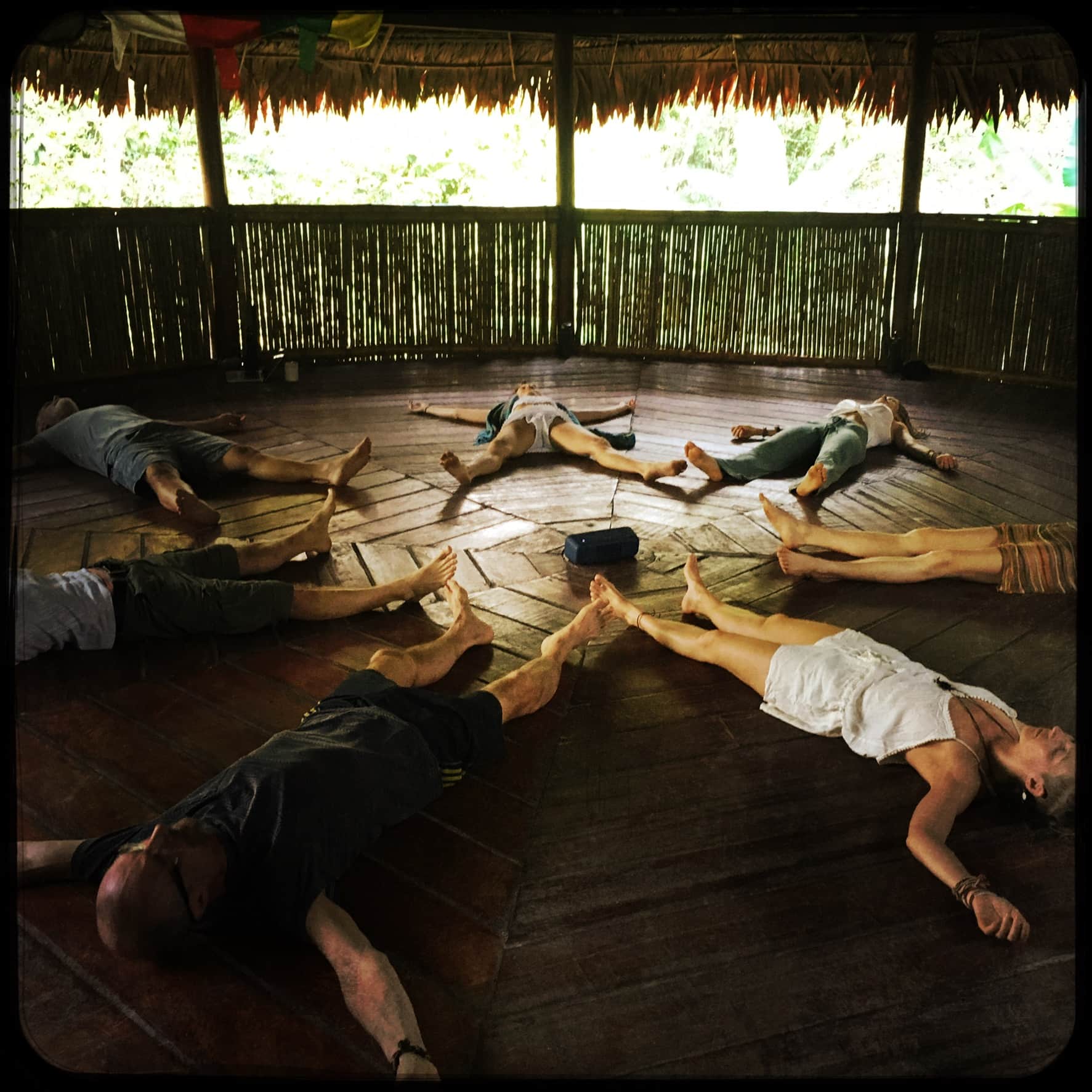 The Garden of Peace, Ayahuasca & Master Plant Center 4