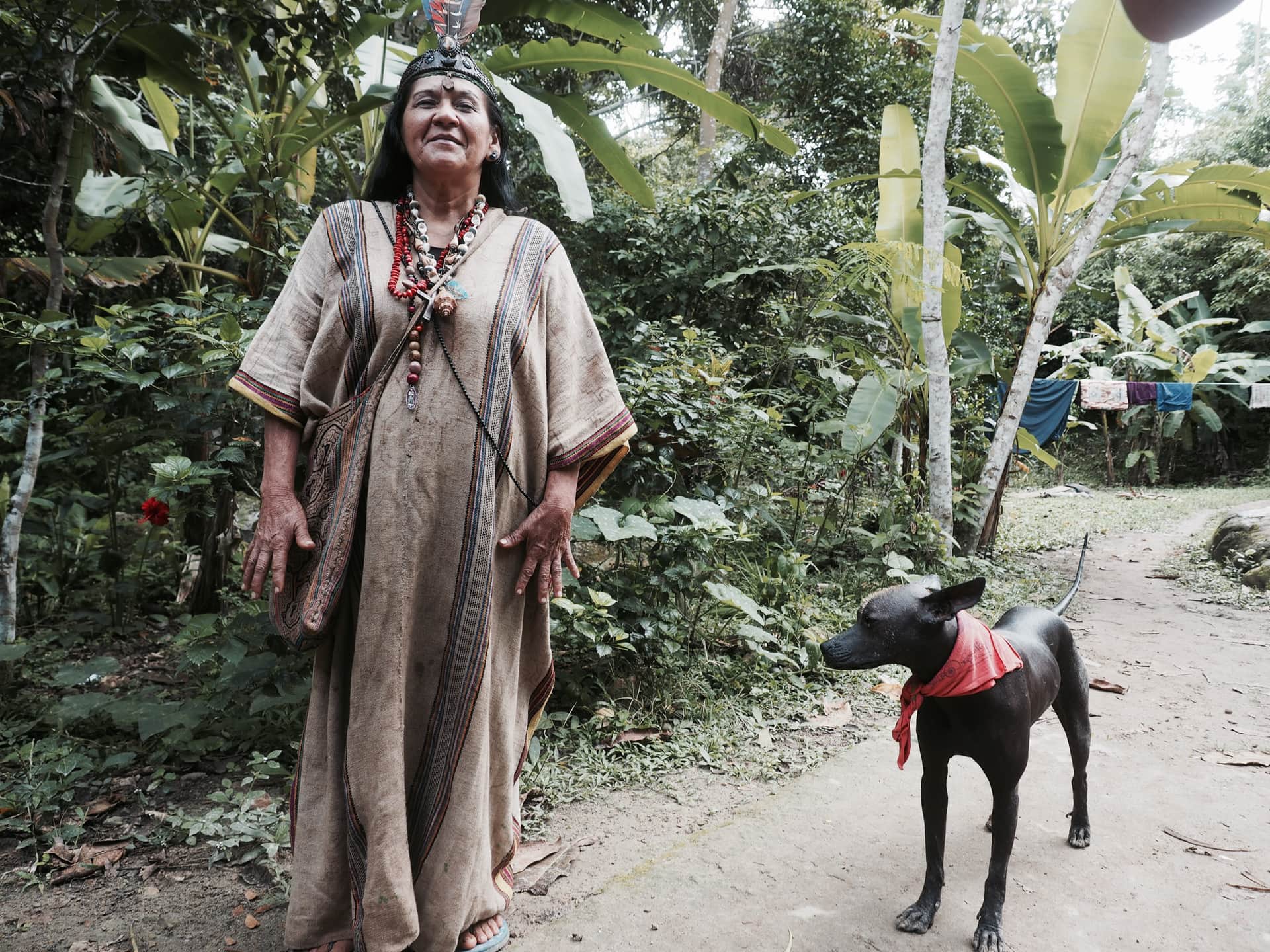 The Garden of Peace, Ayahuasca & Master Plant Center 8