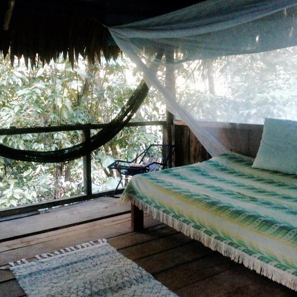 The Garden of Peace, Ayahuasca & Master Plant Center 5