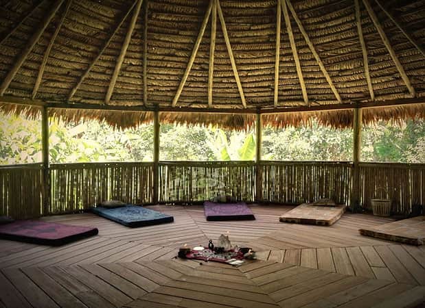 The Garden of Peace, Ayahuasca & Master Plant Center 3