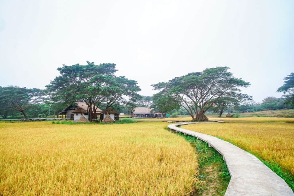 Pai Meditation Center 8