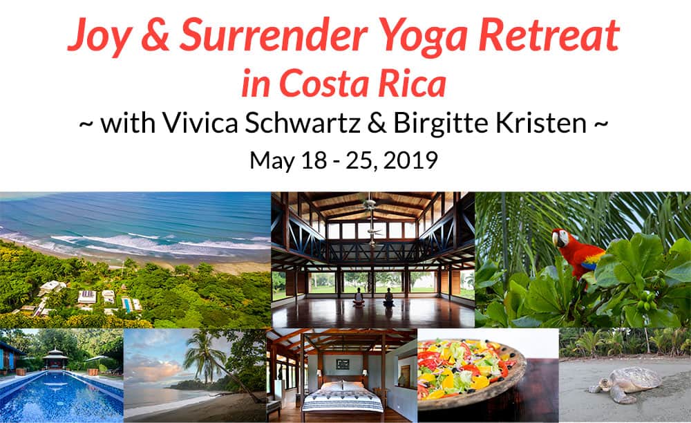 Viveka Yoga & Ayurveda 5