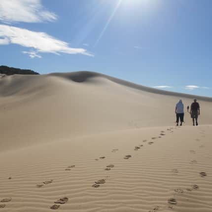 Hara Shanti Wellness Experiences 6