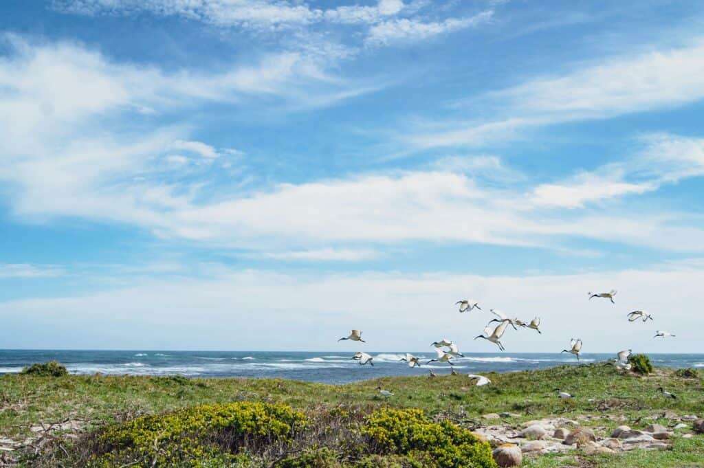 Hara Shanti Wellness Experiences 2