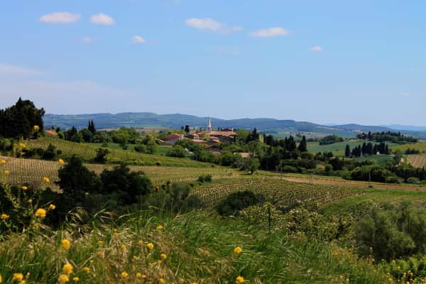 Reconnecting with Nature 6