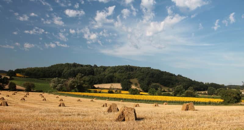 Reconnecting with Nature 2