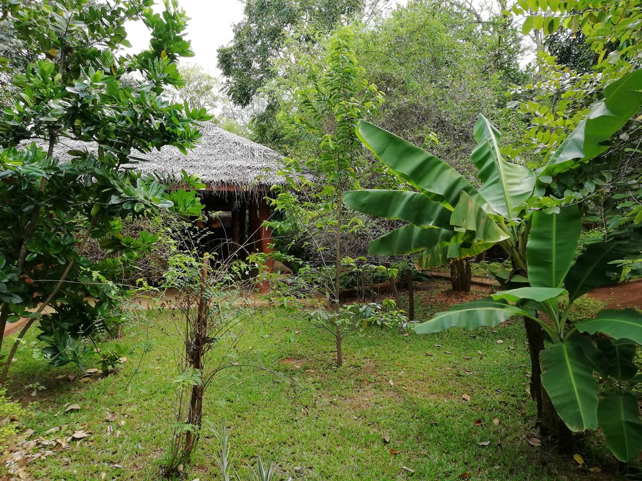 Kuwera Eco Lodge 8