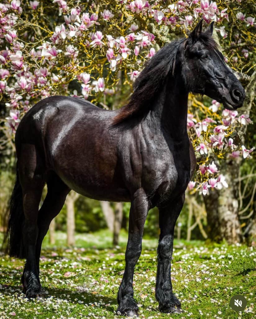 SBH Wellness Retreat 8