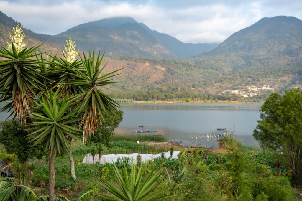 Afterglow Adventure Co. 7