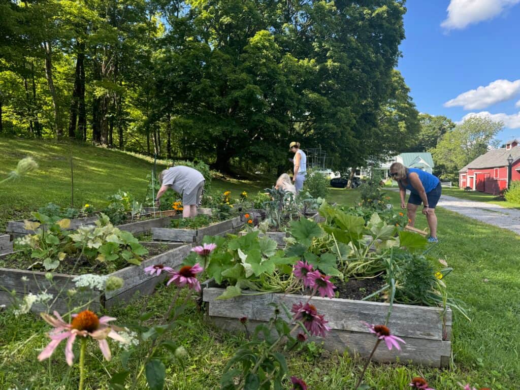 Mooney Farm Women's Wellness Retreat 7