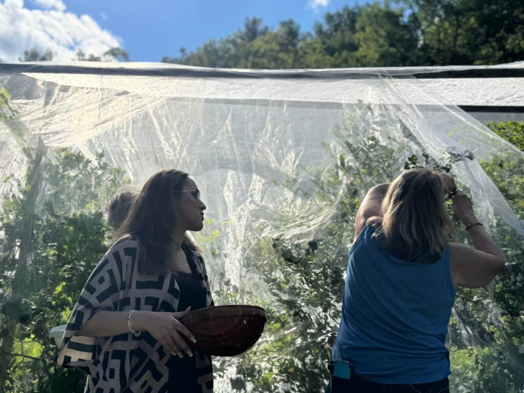 Mooney Farm Women's Wellness Retreat 8