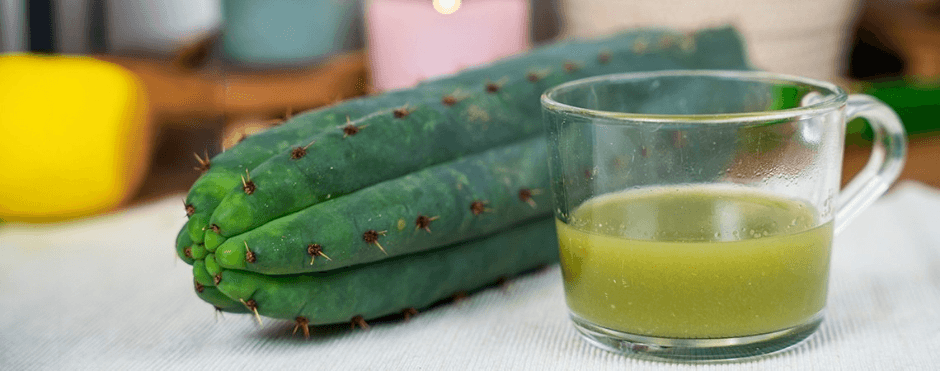 Buddha Yeti Retreats 8