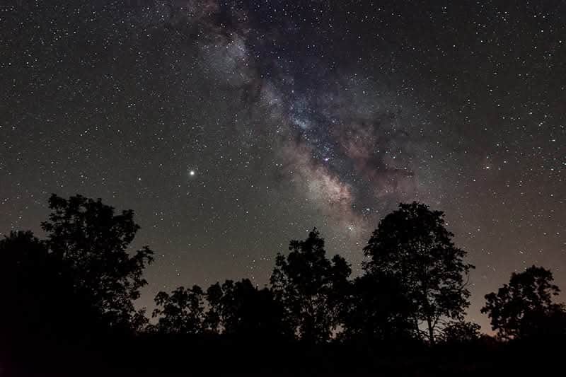 Buddha Yeti Retreats 1