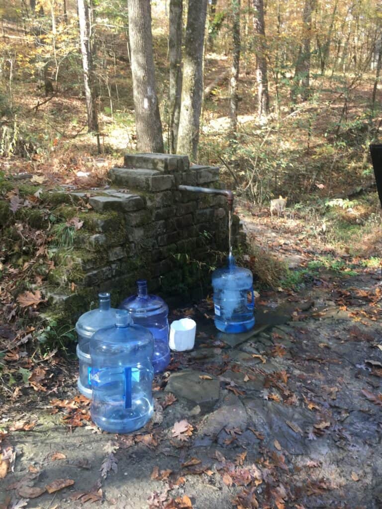 Buddha Yeti Retreats 5