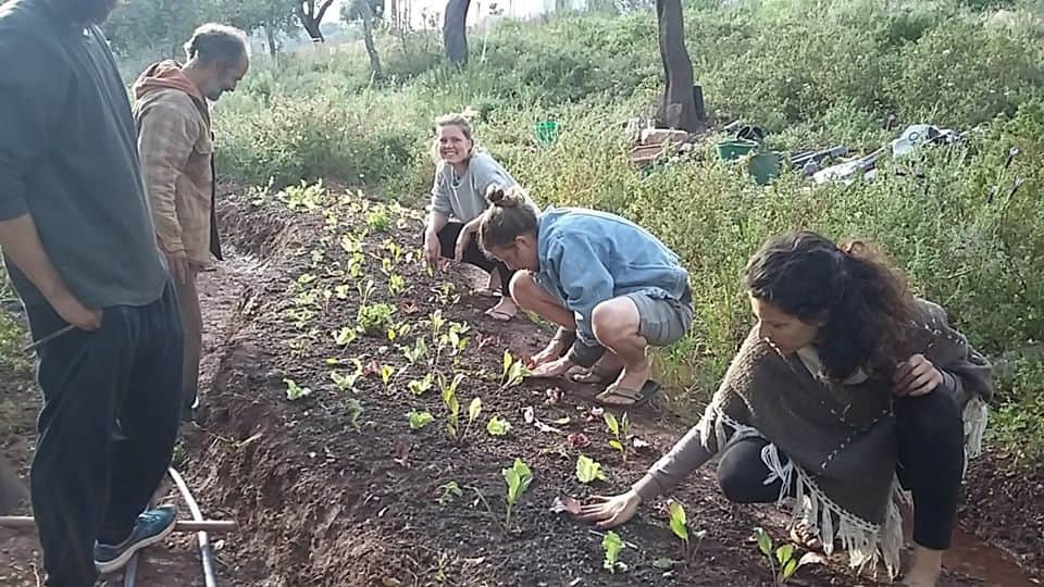 NATURALMENTE - Holistic Living 4