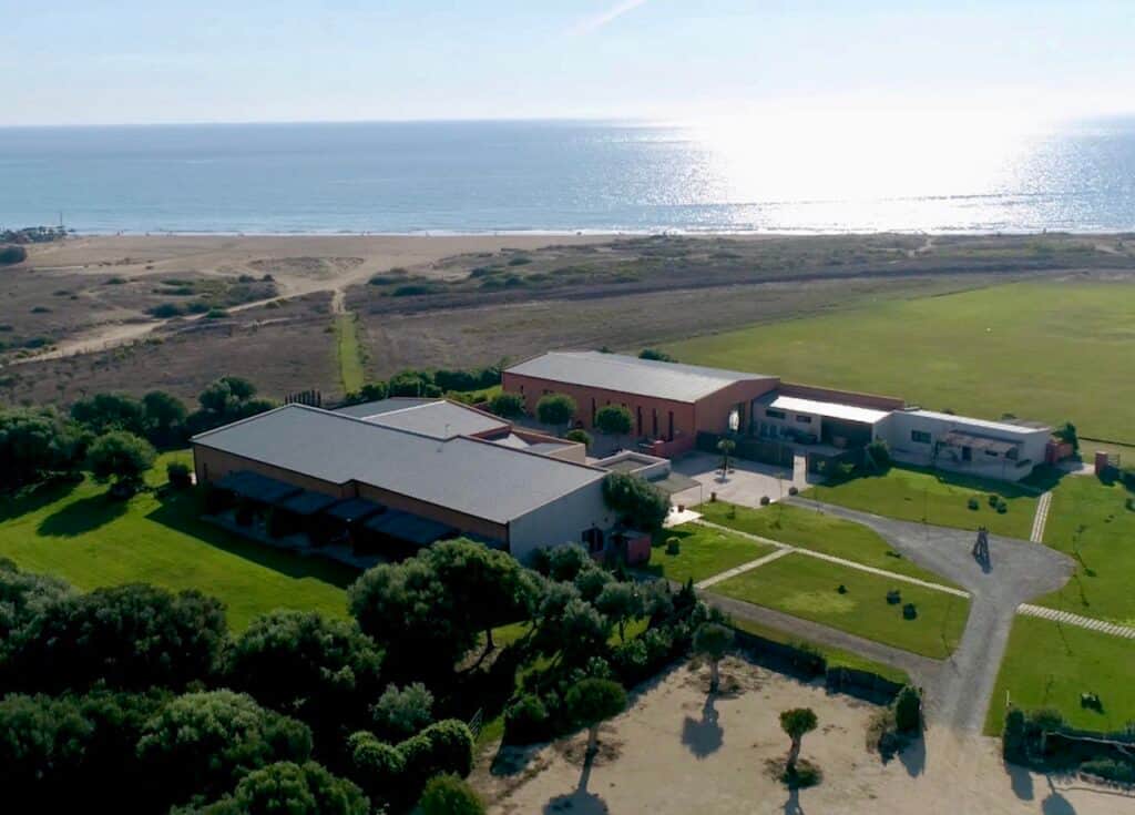 APL Shamanic Journeys 5