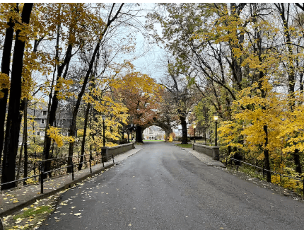 Women's Wellness Retreat 4