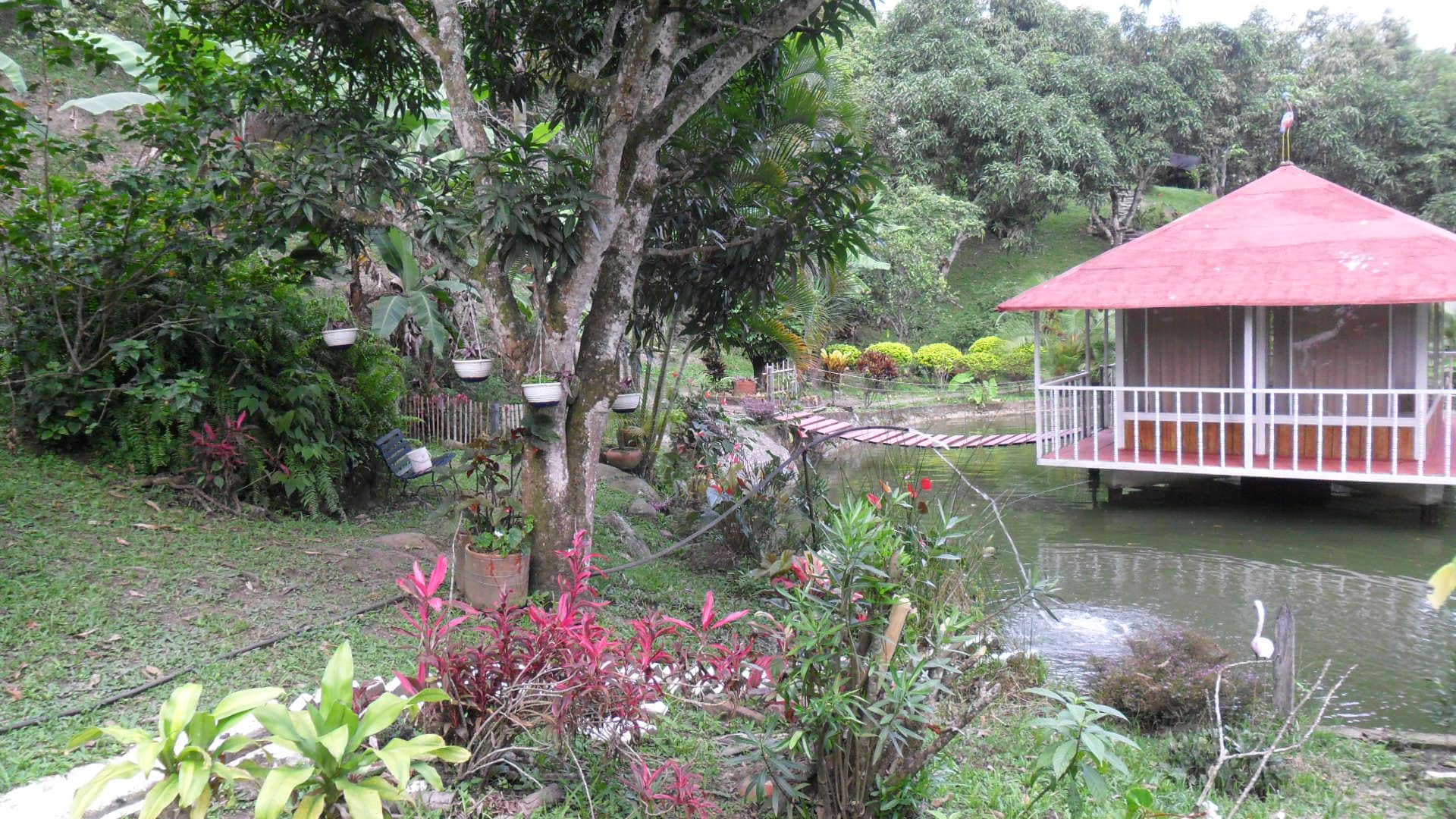 Ayahuasca healing center-Colombia 1