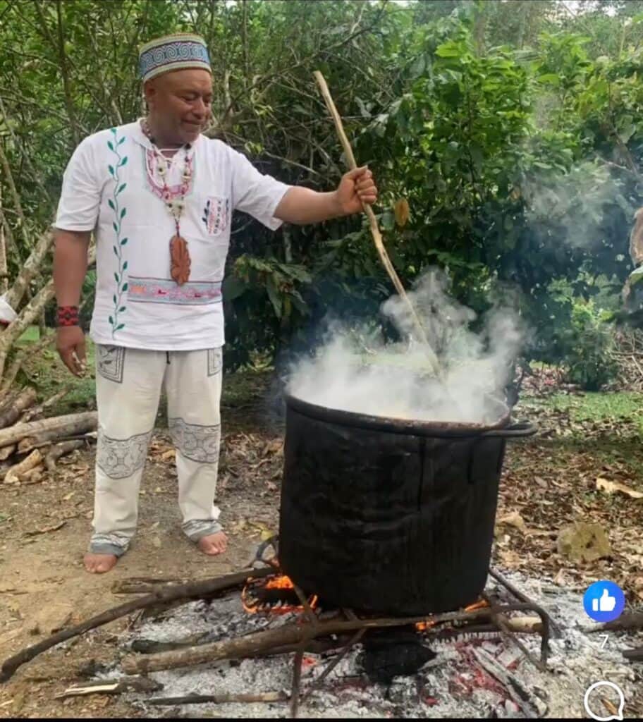 Reshin Nika Ayahuasca & Master Plant Retreat 3