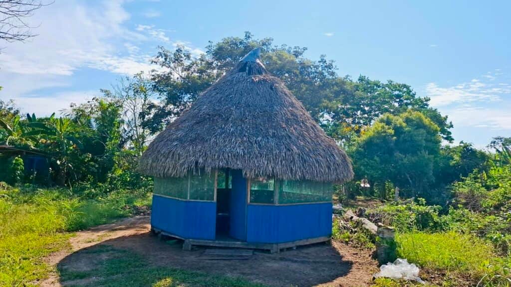 Reshin Nika Ayahuasca & Master Plant Retreat 6