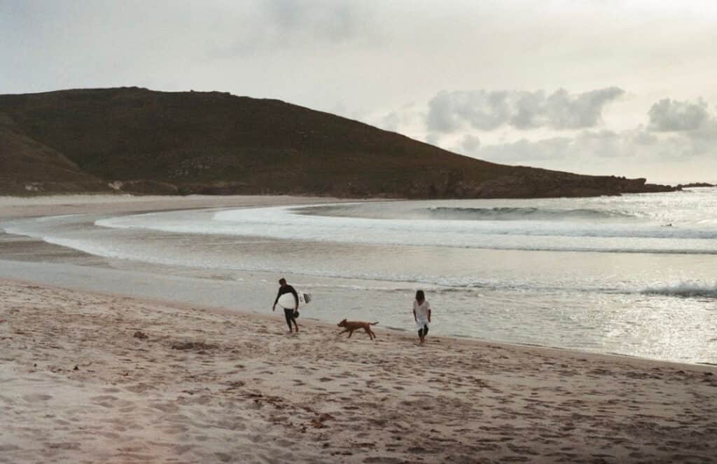 Land of Enchantment 6