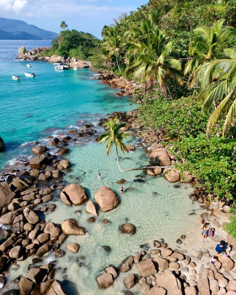 Brazil Jungle Trek: Ilha Grande 2