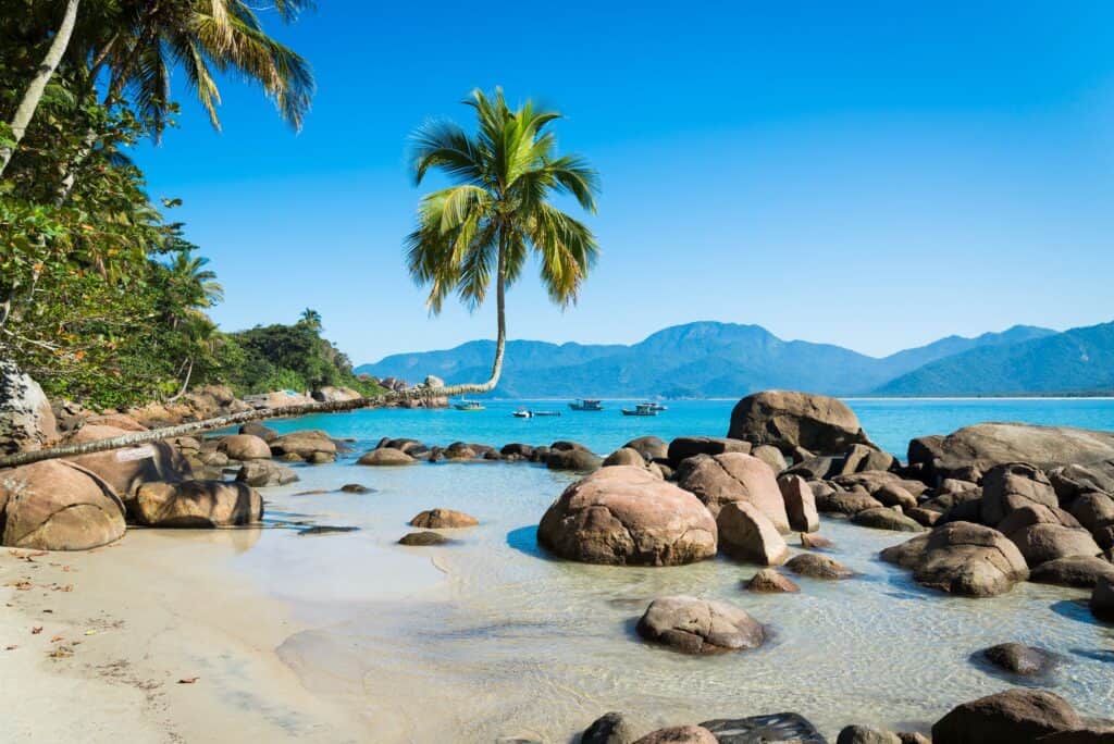 Brazil Jungle Trek: Ilha Grande 6