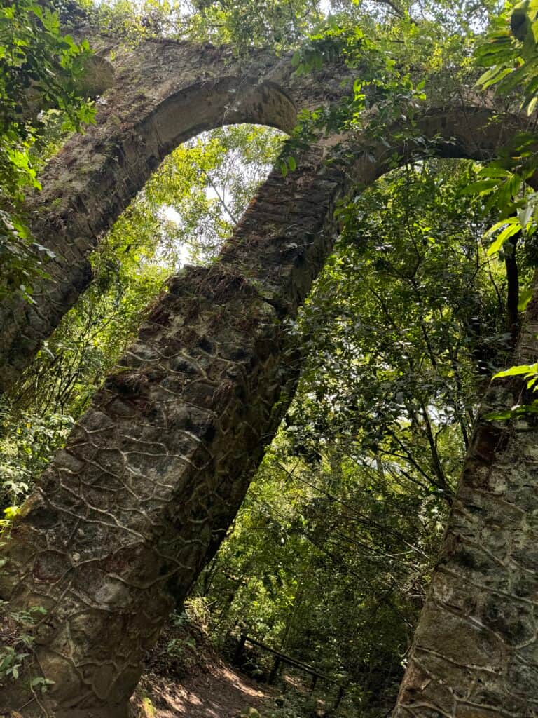 Brazil Jungle Trek: Ilha Grande 1