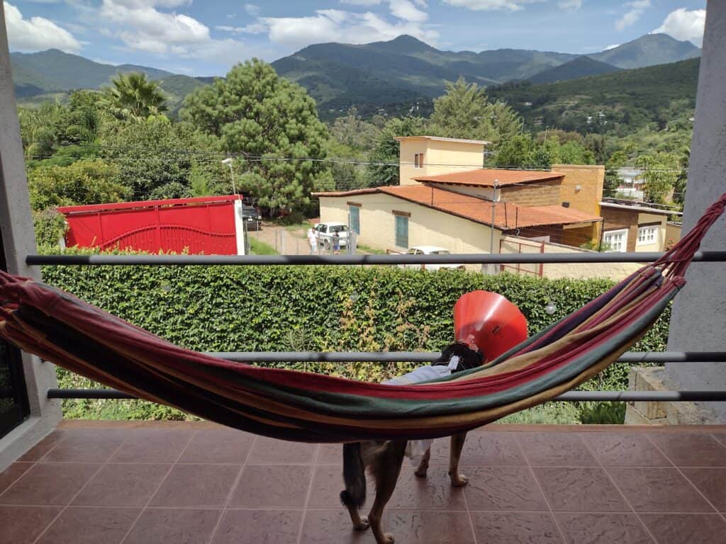 Day of the Dead Retreat 2