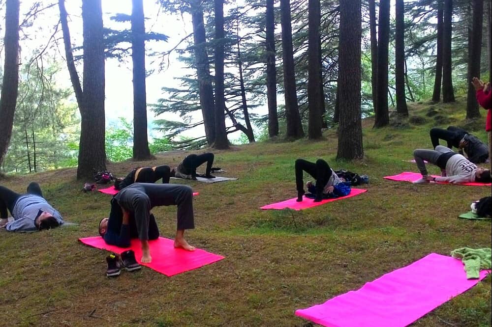 6 Day Mind & Body Detox: Yoga & Meditation Retreat in India