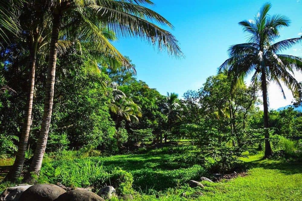 5 Day Yoga Detox & Juice Cleanse Retreat in Taiwan