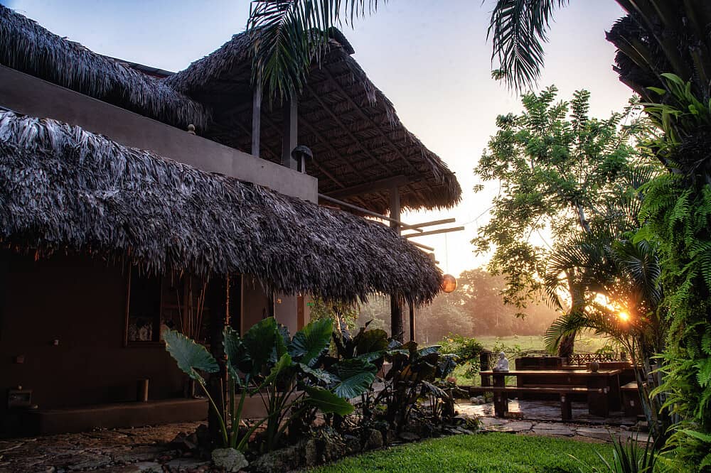 8 Day Private Jungle Wellness & Fitness Reset in Mexico