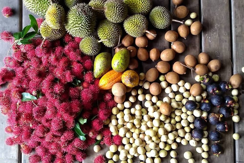 7 Day Return to Eden: Raw Living Fruitarian Retreat in Costa Rica