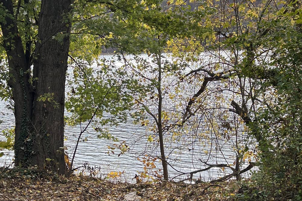 3 Day Rest & Restore Ayurvedic Women's Wellness Retreat, Marietta