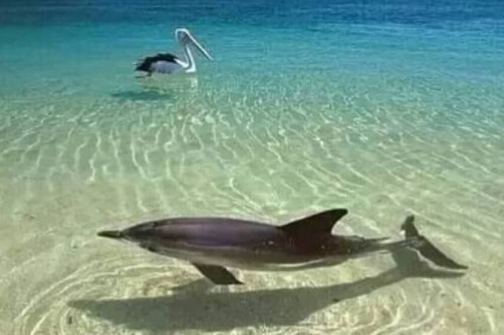 4 Day Luxury Waterfront Yoga Retreat in Sunny Florida, US