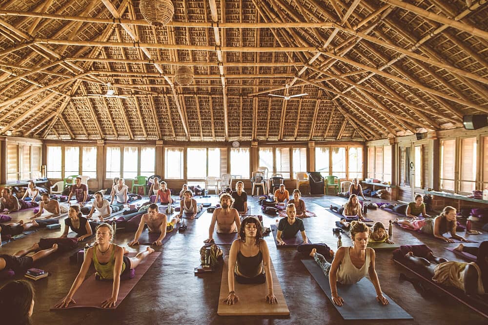 22 Day Transformative Yoga Retreat: Module 1 Intensive in Mexico
