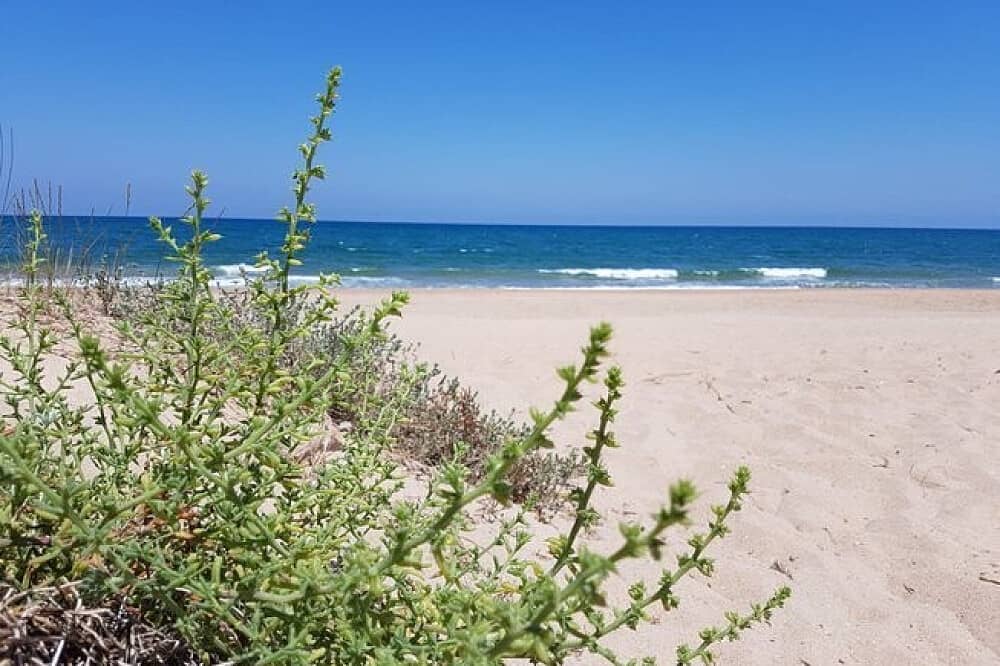 5 Day Yogi Heartful Living Retreat in El Brosquil Beach, Spain