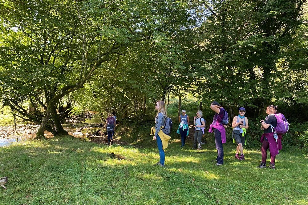 4 Day Harmonising Retreat: Transform, Ground & Renew in Wales