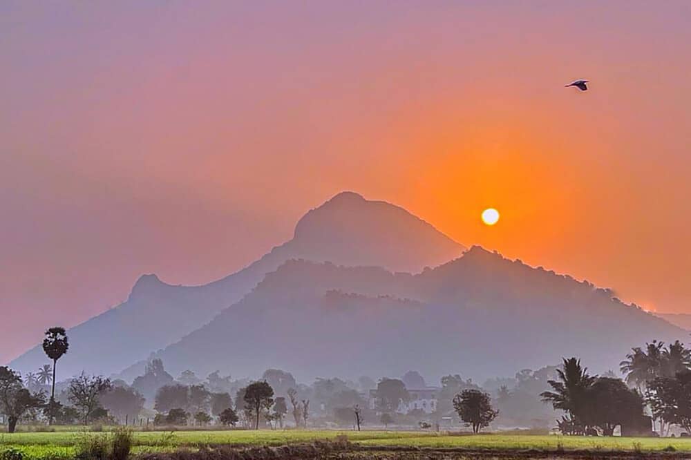 15 Day The Call of Arunachala: A Pilgrimage in India