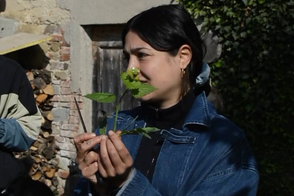 3 Day Foraging & Cooking with Wild Herbs, Italy
