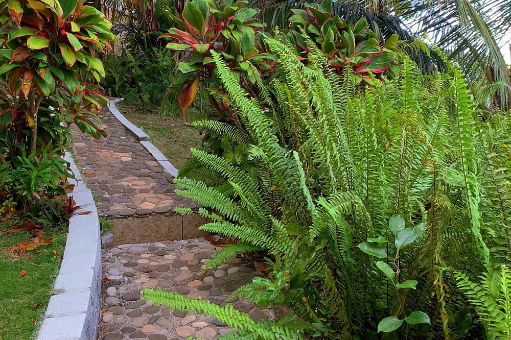 7 Day Star Arcanum Holistic Yoga Retreat in Port Antonio, Jamaica