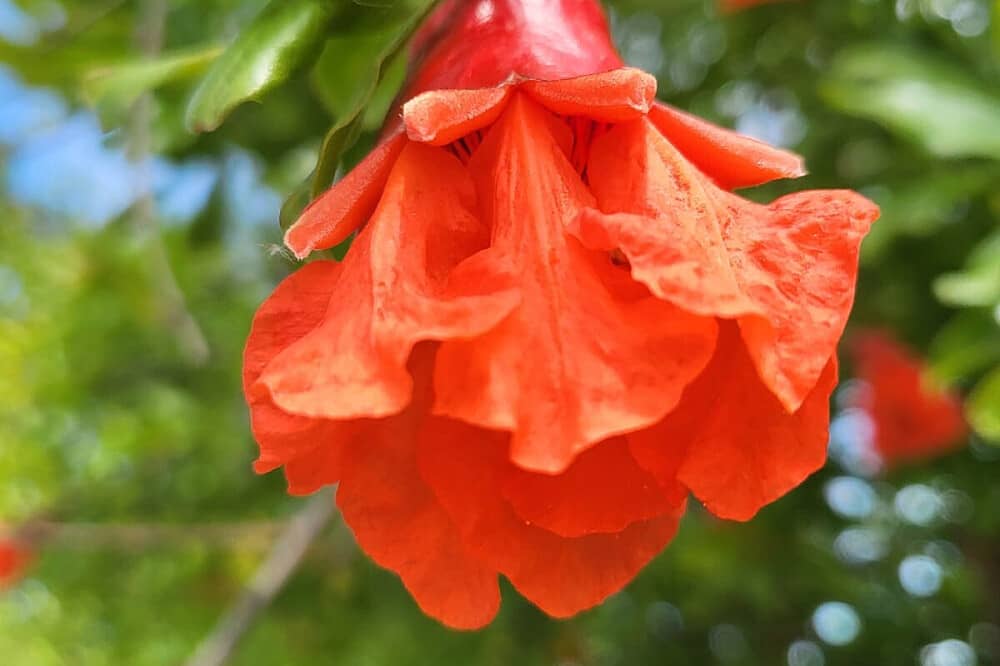 8 Day Kundalini Activation & Gentle Psychedelic Retreat, Portugal