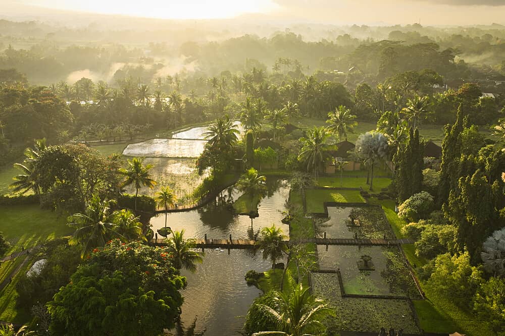 3 Day Private Deep Rest & Sleep Healing Retreat In Ubud, Bali