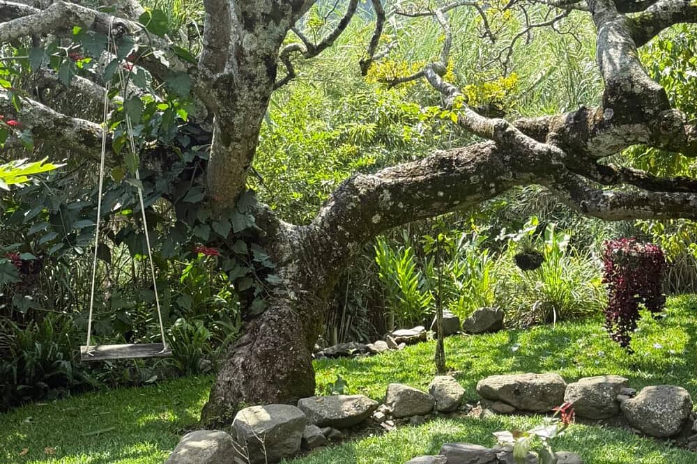 2 Day MDMA-Assisted Therapy for Couples in Atitlan