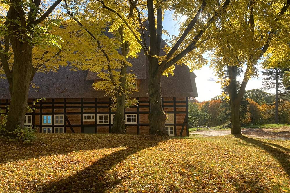 7 Day Spring Awakening Panchakarma & Wellness in Germany