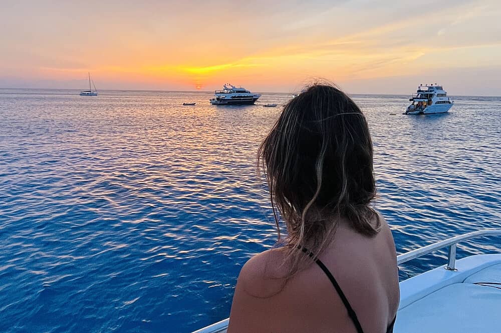 8 Day 'At the Heart of Your Light' Dolphin&Yoga Retreat in Egypt