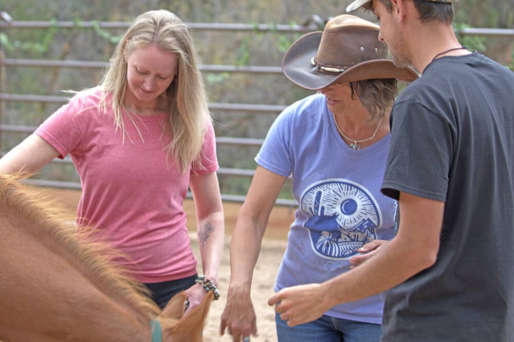 4 Day Mountaintop Private Couples Retreat with Mustangs in CO, US